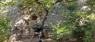 The Istrian - 4