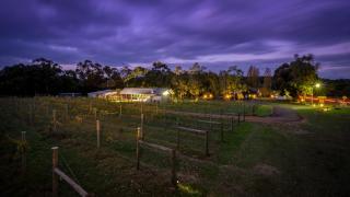 Sienna Lodge - Yallingup - 3