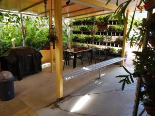 Sunlit Waters Studio Apartments - Airlie Beach - 9