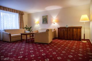 Hotel Prezydencki 3-star - Rzeszów - 5