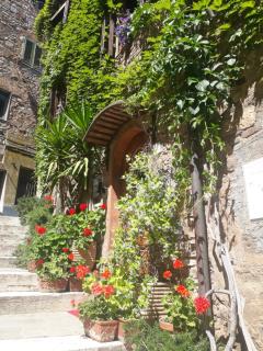 La Piazzetta Toscana B&B - Campiglia Marittima - 6