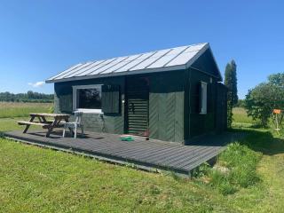 Tiny house Ružēni - Talsi - 0
