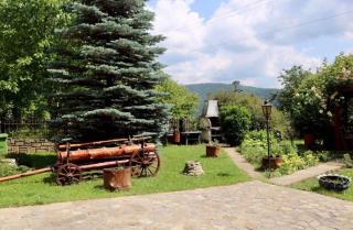 Pensiunea Ambiance - Piatra Neamţ - 2
