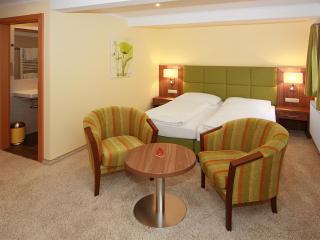 Hotel Goldener Adler - Linz - 9