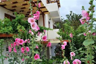 Deluxe Studios & Suites Ageri-Milos - Adamas - 8
