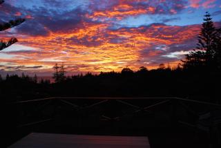 Cascade Garden Apartments - Burnt Pine - 6