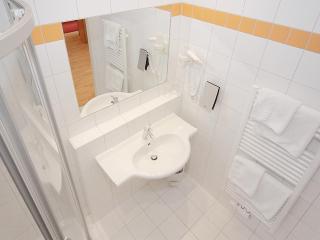 Hotel Goldener Adler - Linz - 6