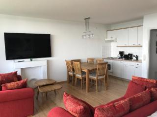 Panoramic Apartments Hohegeiß - 1