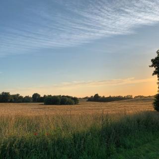 Reet und Meer Beckerwitz - Hohenkirchen - 2