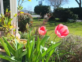 Colonial Court Motel - 8