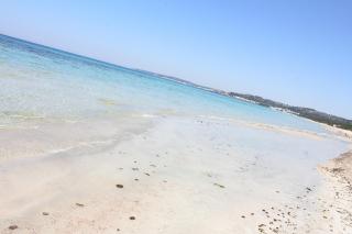 Appartamenti Rivabella D - Gallipoli - 4