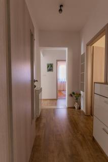 Apartment Blašković - Novigrad (Cittanova) - 7