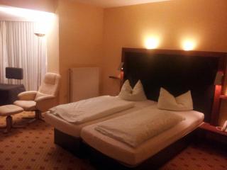 REGIOHOTEL Germania am Kurpark Bad Harzburg - Bad Harzburg - 9