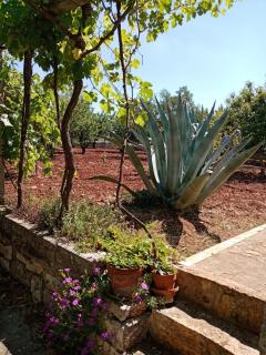 Il Trullo E Il Fortino - 8