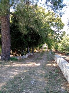Il Trullo E Il Fortino - 6
