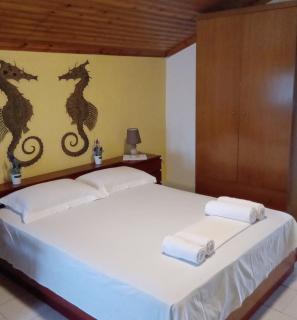 Katia's Apartments - Sarti - 1