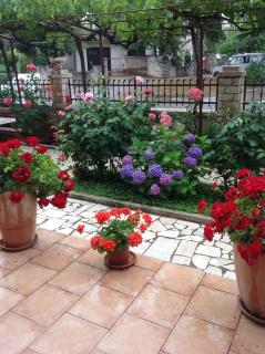 Vila Alma - Poreč (Parenzo) - 1