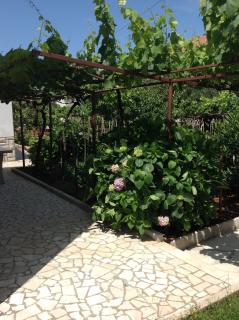 Vila Alma - Poreč (Parenzo) - 6