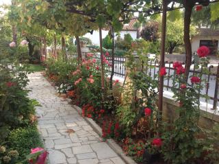 Vila Alma - Poreč (Parenzo) - 8