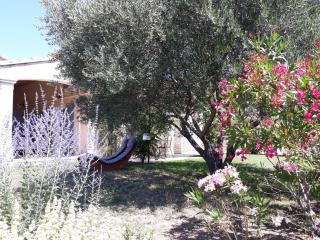 Parfums de Provence "Le Lavandin" Piscine chauffée & Spa - Vaison-la-Romaine - 7