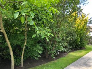 Vakantiehuis Elisa - 7