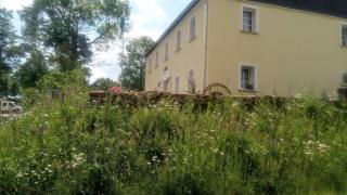 Gasthaus Ruebenau - Rübenau - 4