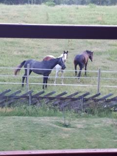 Apartment Steinsgård-Maura - 1