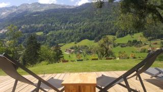 Les Picaillons - Le Chalet - Les Villards-sur-Thônes - 1