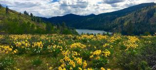 Twisp River Suites - Twisp - 9