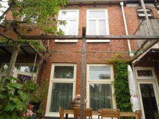 Cessinas - Groningen - 4