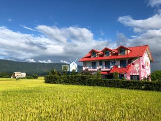關山稻香田園民宿 - 9