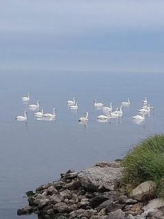 Takvåning-Borgholm - 0