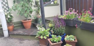 Usk And Railway Inn - Sennybridge - 8