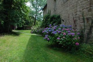 B&B Chateau le Bois - Saint-Julien-aux-Bois - 2