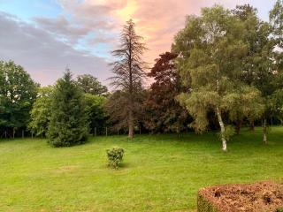 Spacieuse maison dans un parc privée - Vareilles - 7