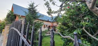 Vila Vasile - 9