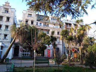 Apartment in the heart of old Batumi - 4