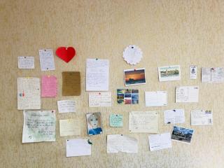 Hostel FORREST - Kutaisi - 5