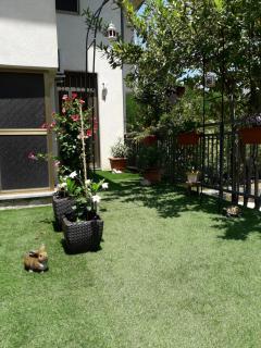House Rose - Rose - 1
