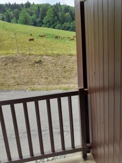 Le rossane - Aillon-le-Jeune - 0