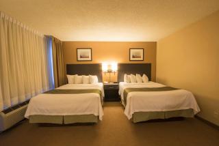 Quality Inn & Suites PE Trudeau Airport - Dorval - 5