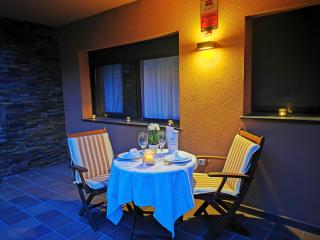 Apartaments La Farga Arbúcies - 1