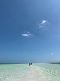 Casa Las Tortugas Petit Beach Hotel & Spa - Isola Holbox - 6
