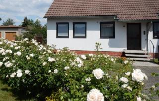 Fewo am Sassenberg - Blankenburg - 9