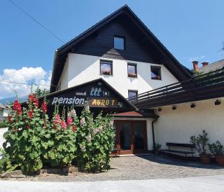 Pension TTT - Bled - 5