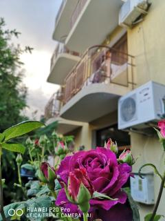 Guest House "Zora - Sarafovo" - Burgas - 3