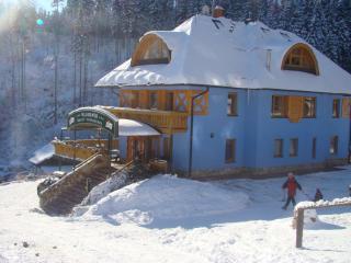 Hotel Vladimír - Janské Lázně - 9