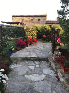 Salto di Gatto - Castellina in Chianti - 4