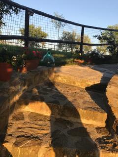 Salto di Gatto - Castellina in Chianti - 3