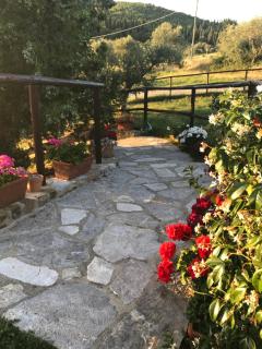 Salto di Gatto - Castellina in Chianti - 2